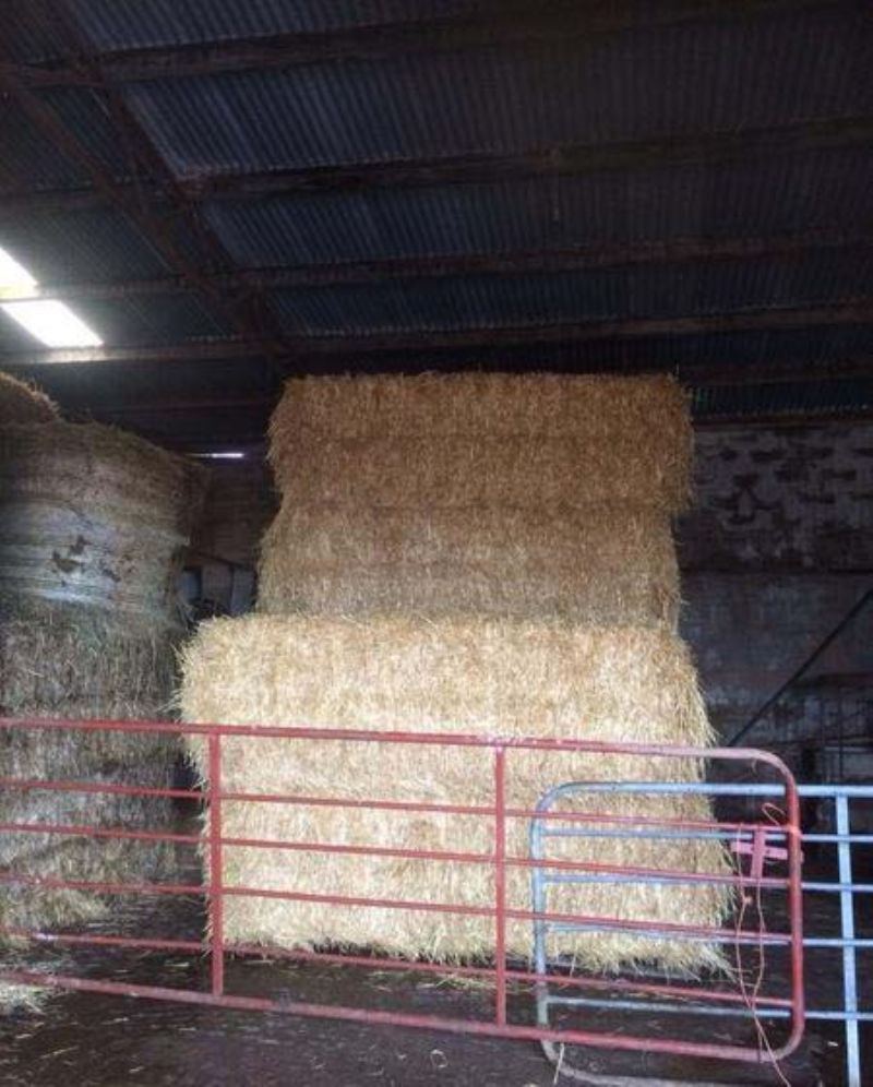 How To Dispose Of Used Straw Bedding at Justin Eisenberg blog