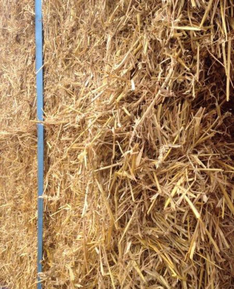 Spring wheat straw Bedding/Feeding for sale Northern Ireland Farm