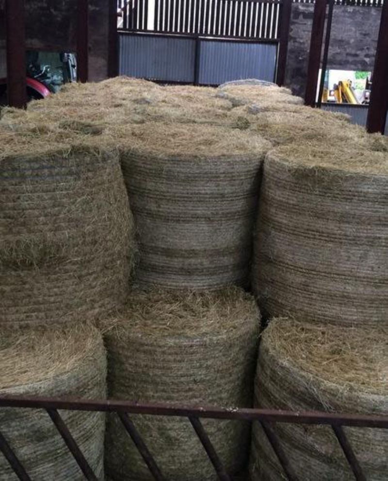 Round bales of hay Bedding/Feeding for sale Northern Ireland Farm