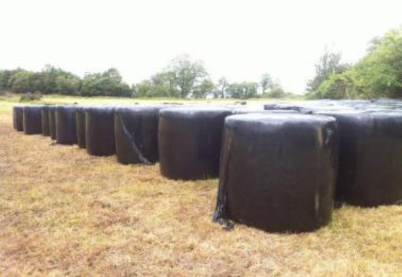 Round Bales of Silage Bedding/Feeding for sale Northern Ireland